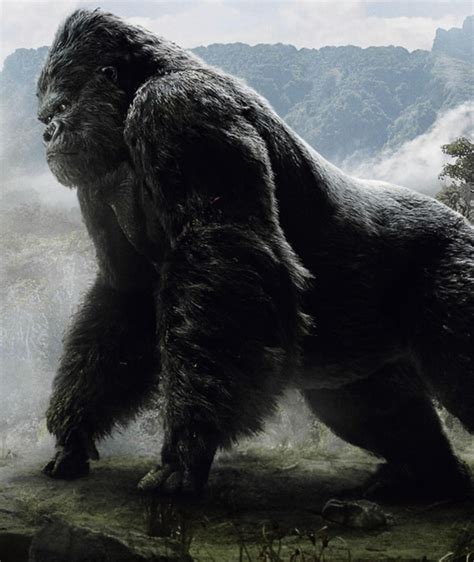Giant King Kong brabet